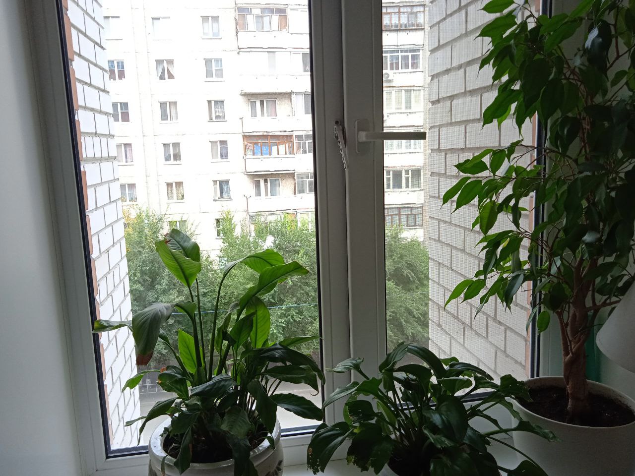 https://belgorod.delaem-okna.ru/storage/app/uploads/public/63f/332/8c0/63f3328c0d6f7867060515.jpg